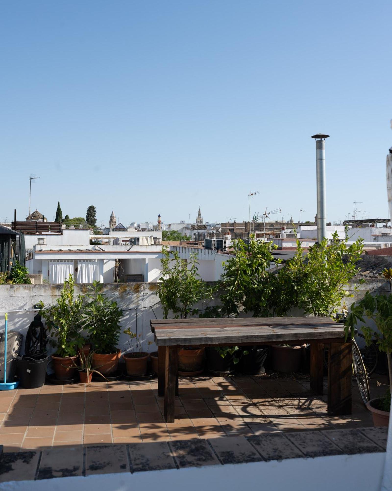 Moderno Y Tranquilo En El Centro Lejlighed Sevilla Eksteriør billede